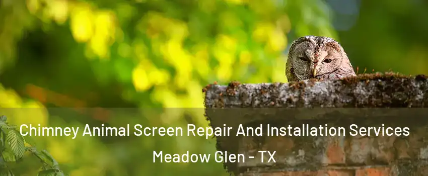 Chimney Animal Screen Repair And Installation Services Meadow Glen - TX