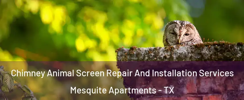 Chimney Animal Screen Repair And Installation Services Mesquite Apartments - TX