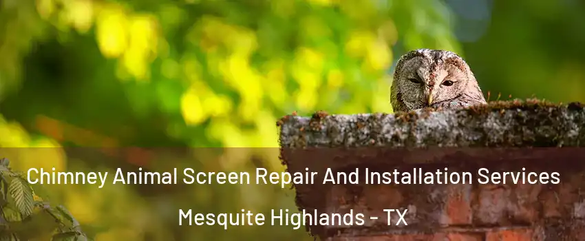 Chimney Animal Screen Repair And Installation Services Mesquite Highlands - TX