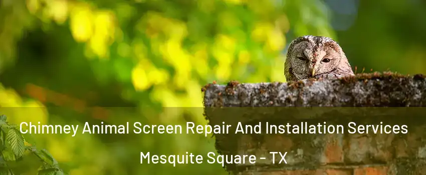 Chimney Animal Screen Repair And Installation Services Mesquite Square - TX