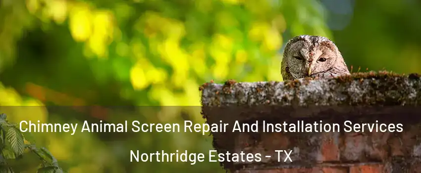 Chimney Animal Screen Repair And Installation Services Northridge Estates - TX