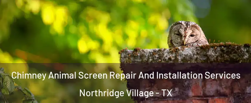 Chimney Animal Screen Repair And Installation Services Northridge Village - TX