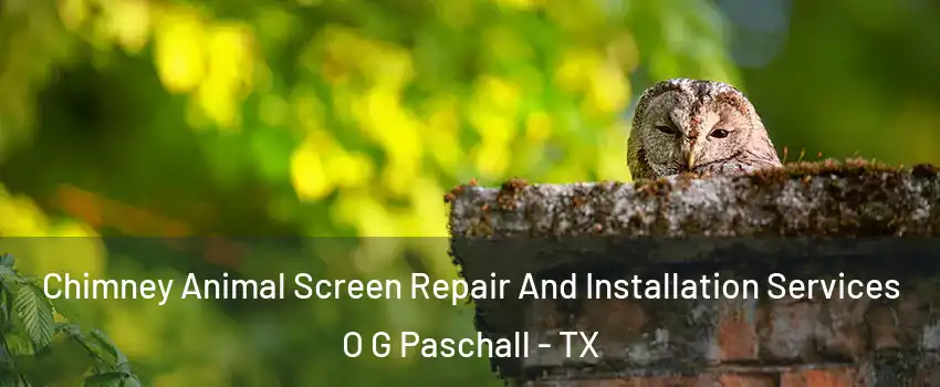 Chimney Animal Screen Repair And Installation Services O G Paschall - TX