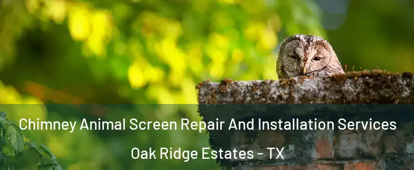 Chimney Animal Screen Repair And Installation Services Oak Ridge Estates - TX