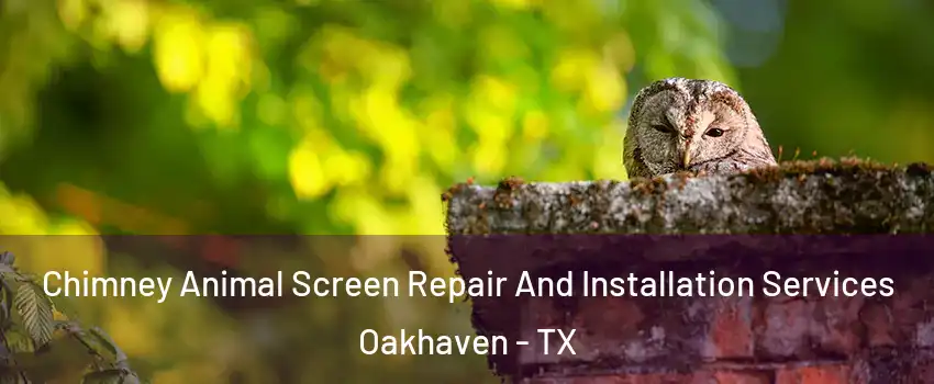 Chimney Animal Screen Repair And Installation Services Oakhaven - TX