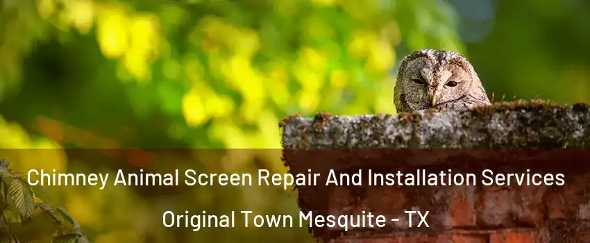 Chimney Animal Screen Repair And Installation Services Original Town Mesquite - TX