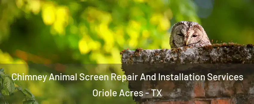 Chimney Animal Screen Repair And Installation Services Oriole Acres - TX