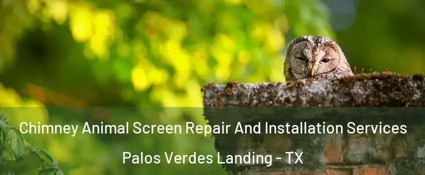 Chimney Animal Screen Repair And Installation Services Palos Verdes Landing - TX
