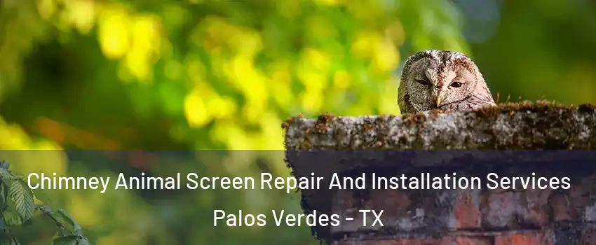 Chimney Animal Screen Repair And Installation Services Palos Verdes - TX
