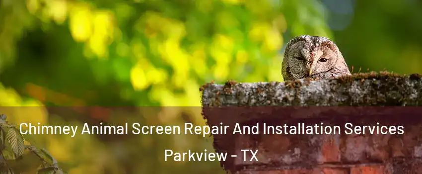 Chimney Animal Screen Repair And Installation Services Parkview - TX