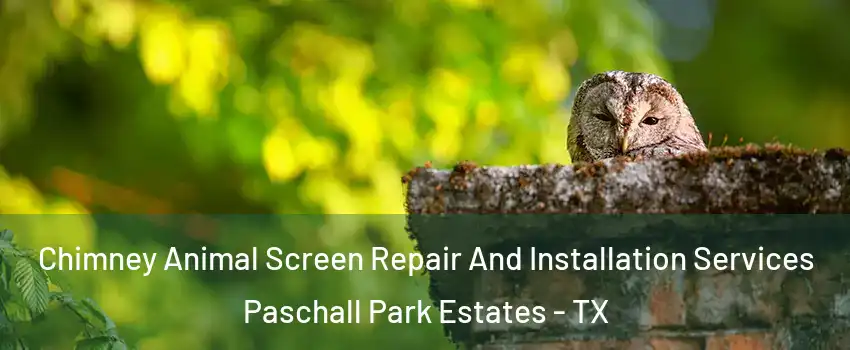 Chimney Animal Screen Repair And Installation Services Paschall Park Estates - TX