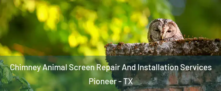 Chimney Animal Screen Repair And Installation Services Pioneer - TX