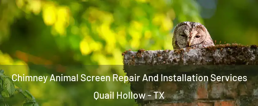 Chimney Animal Screen Repair And Installation Services Quail Hollow - TX