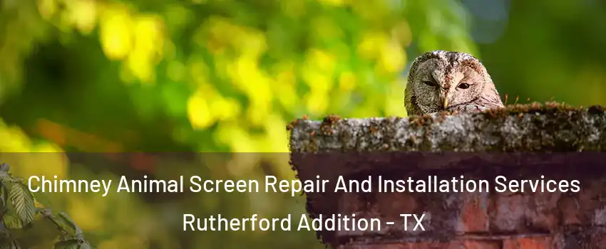 Chimney Animal Screen Repair And Installation Services Rutherford Addition - TX