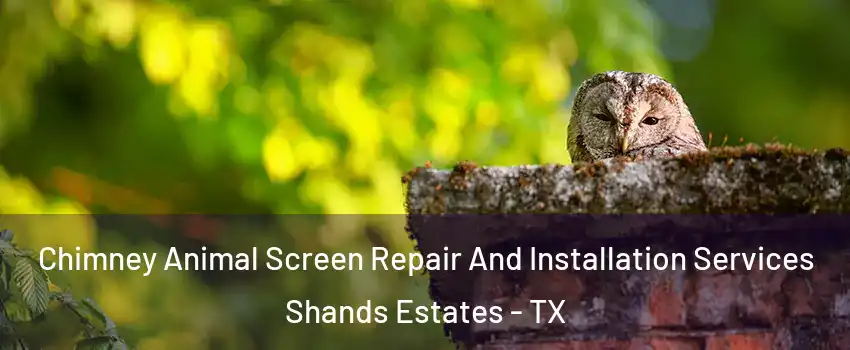 Chimney Animal Screen Repair And Installation Services Shands Estates - TX