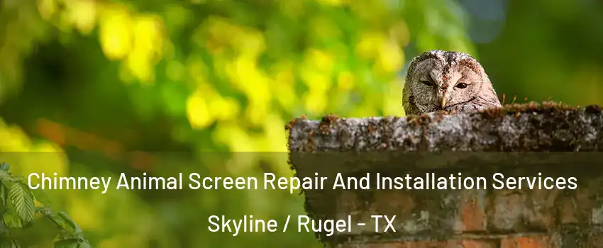 Chimney Animal Screen Repair And Installation Services Skyline / Rugel - TX