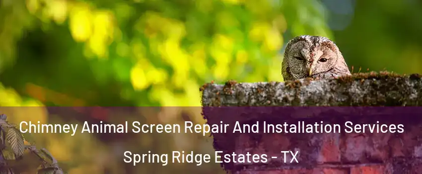 Chimney Animal Screen Repair And Installation Services Spring Ridge Estates - TX