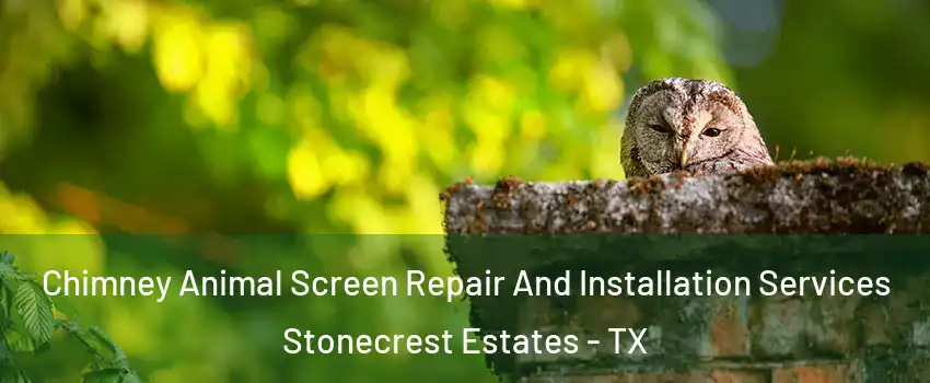 Chimney Animal Screen Repair And Installation Services Stonecrest Estates - TX