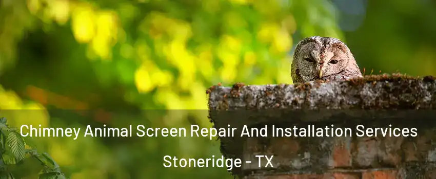 Chimney Animal Screen Repair And Installation Services Stoneridge - TX