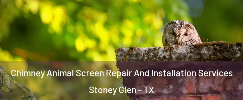 Chimney Animal Screen Repair And Installation Services Stoney Glen - TX