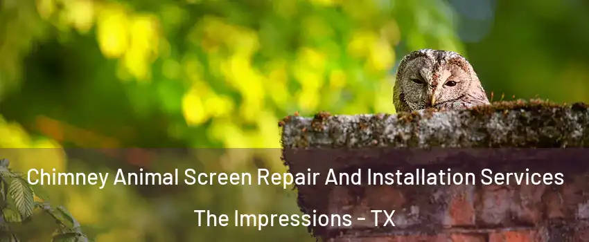 Chimney Animal Screen Repair And Installation Services The Impressions - TX