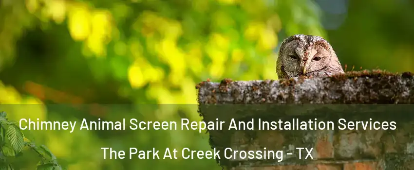 Chimney Animal Screen Repair And Installation Services The Park At Creek Crossing - TX