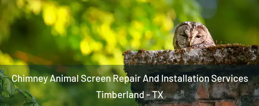 Chimney Animal Screen Repair And Installation Services Timberland - TX