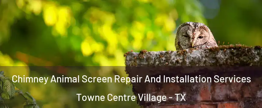 Chimney Animal Screen Repair And Installation Services Towne Centre Village - TX