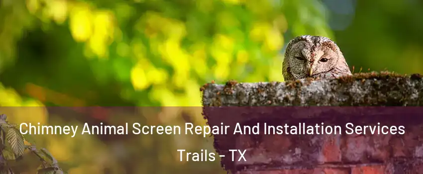 Chimney Animal Screen Repair And Installation Services Trails - TX