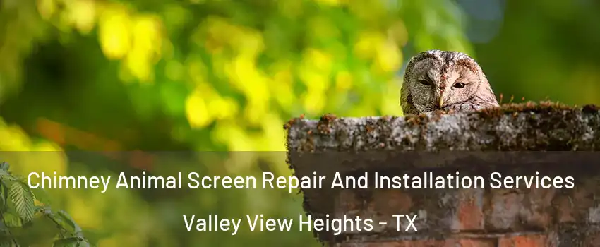 Chimney Animal Screen Repair And Installation Services Valley View Heights - TX