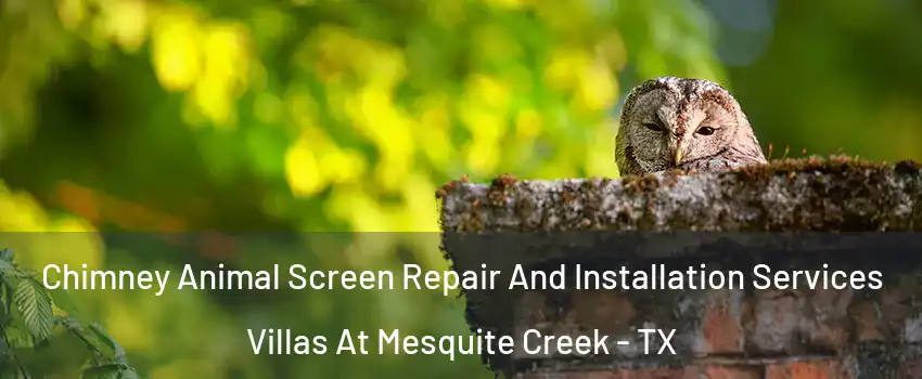 Chimney Animal Screen Repair And Installation Services Villas At Mesquite Creek - TX
