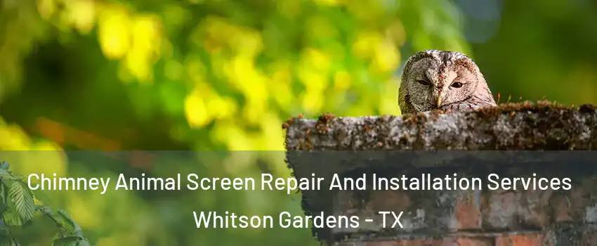 Chimney Animal Screen Repair And Installation Services Whitson Gardens - TX