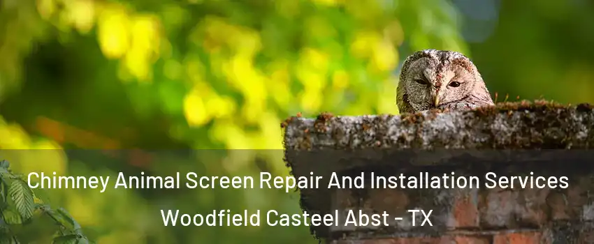 Chimney Animal Screen Repair And Installation Services Woodfield Casteel Abst - TX