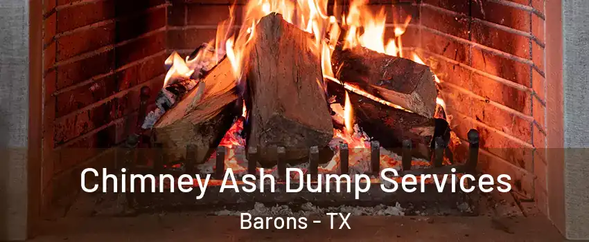 Chimney Ash Dump Services Barons - TX