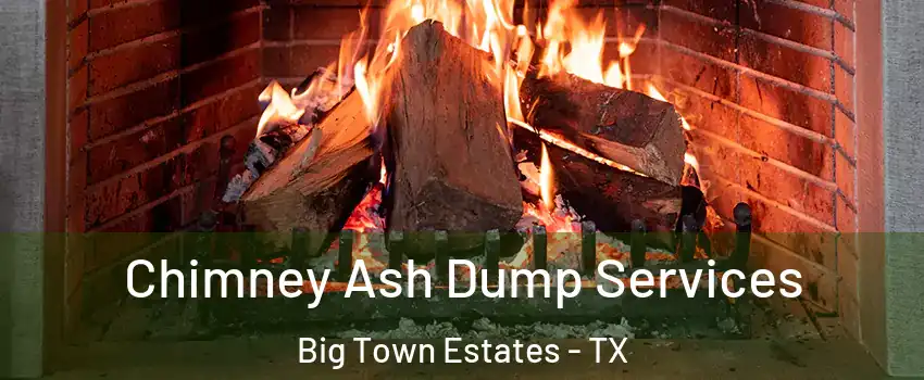 Chimney Ash Dump Services Big Town Estates - TX