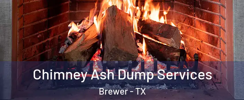 Chimney Ash Dump Services Brewer - TX