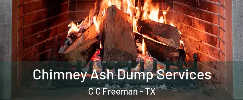 Chimney Ash Dump Services C C Freeman - TX