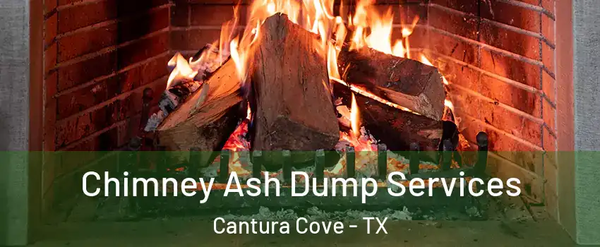 Chimney Ash Dump Services Cantura Cove - TX