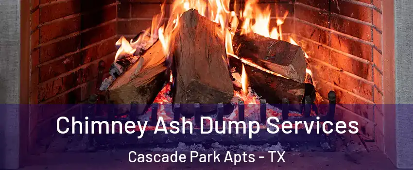Chimney Ash Dump Services Cascade Park Apts - TX