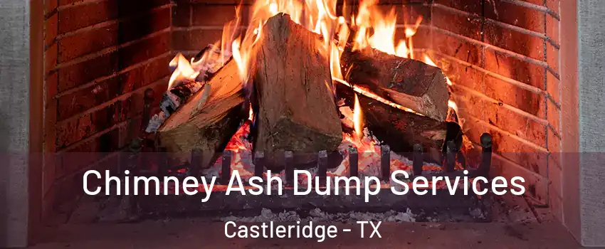 Chimney Ash Dump Services Castleridge - TX