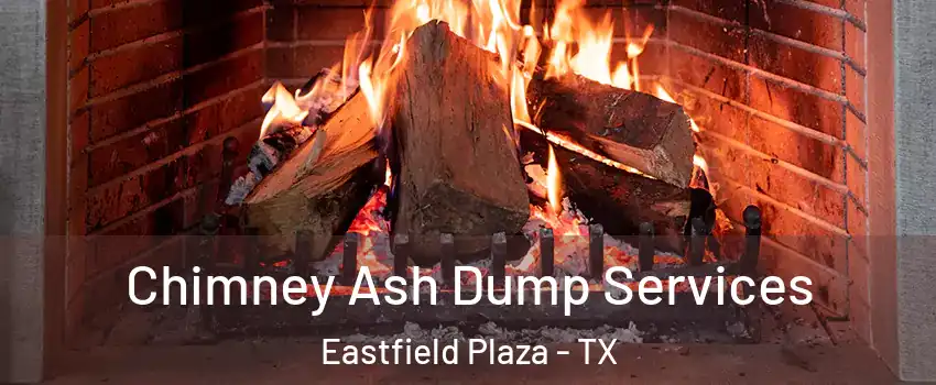 Chimney Ash Dump Services Eastfield Plaza - TX