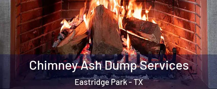 Chimney Ash Dump Services Eastridge Park - TX