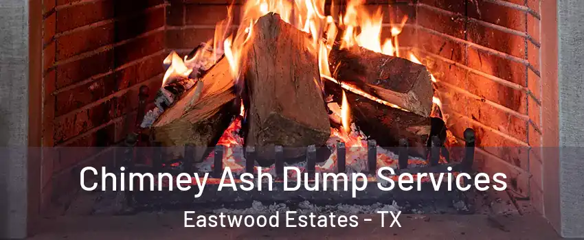Chimney Ash Dump Services Eastwood Estates - TX