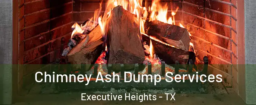Chimney Ash Dump Services Executive Heights - TX