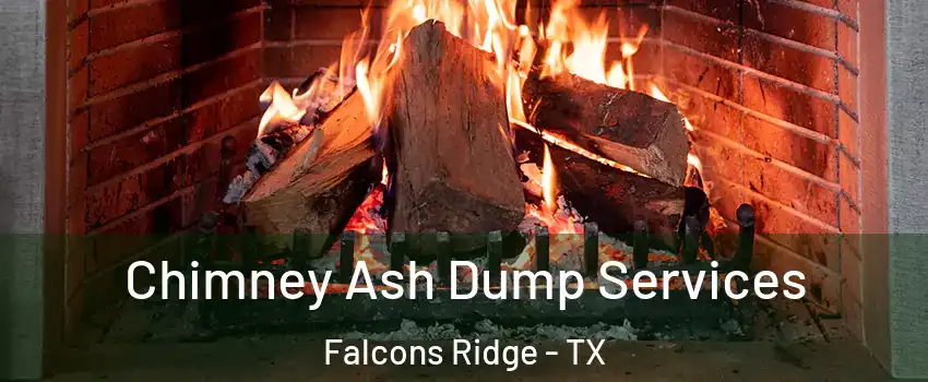 Chimney Ash Dump Services Falcons Ridge - TX