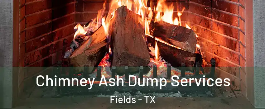Chimney Ash Dump Services Fields - TX