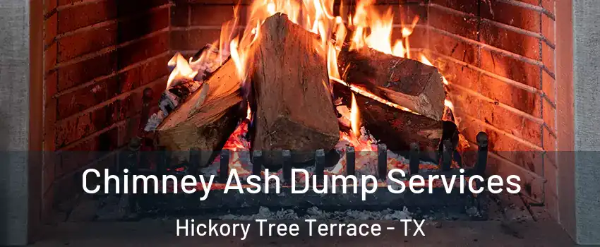 Chimney Ash Dump Services Hickory Tree Terrace - TX