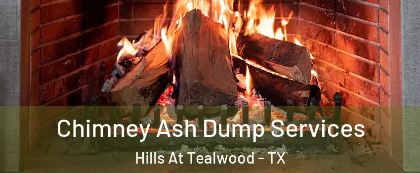 Chimney Ash Dump Services Hills At Tealwood - TX