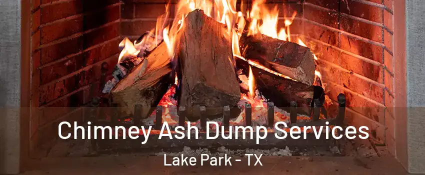 Chimney Ash Dump Services Lake Park - TX