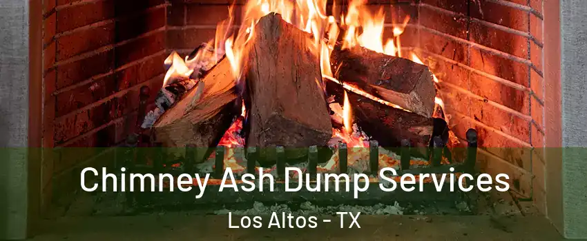 Chimney Ash Dump Services Los Altos - TX